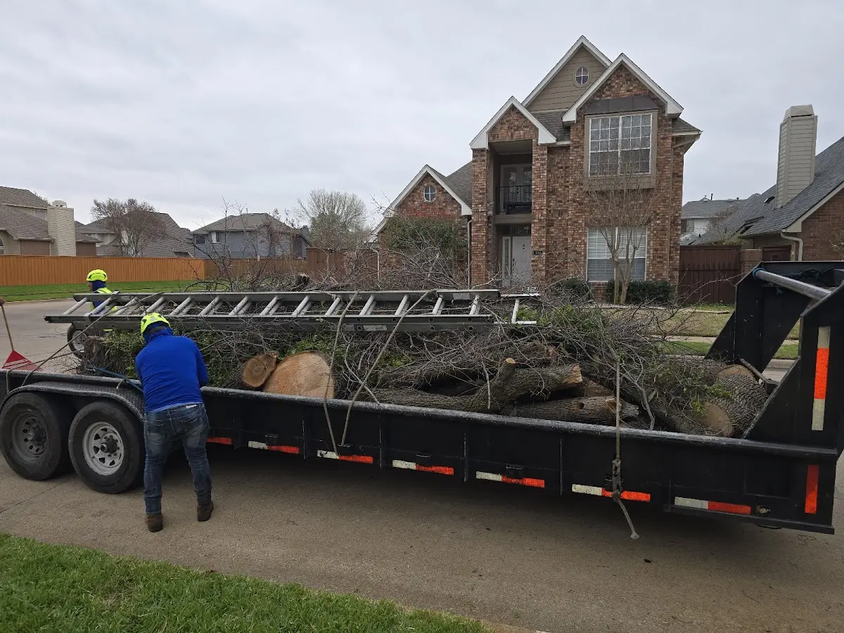 Expert Crown Reduction with proper safety equipment in Wynnewood